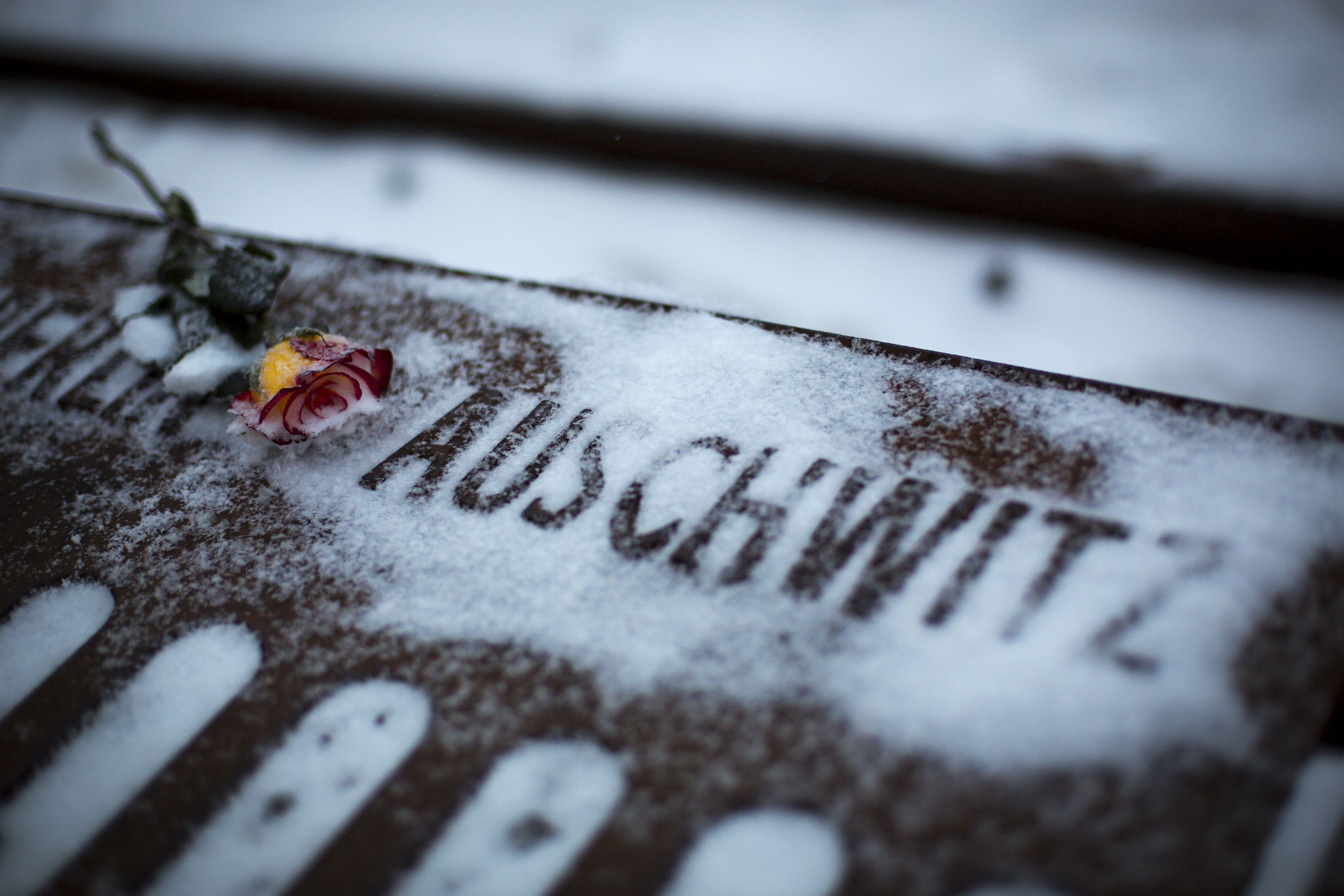 A flower lies next to word Auschwitz, denoting name of Nazi concentration camp, at Gleis 17 memorial in Berlin