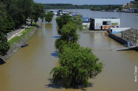 Sava-kod-Beograda
