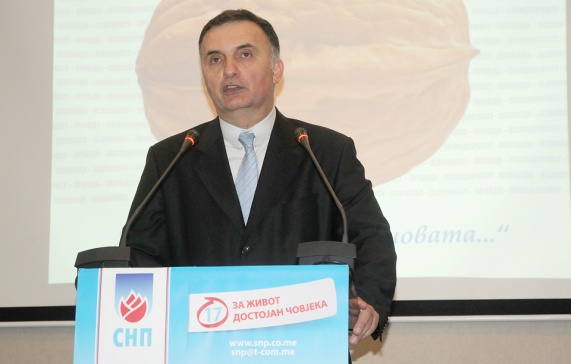 Srđan Milić 011
