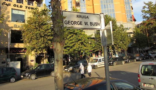 bush