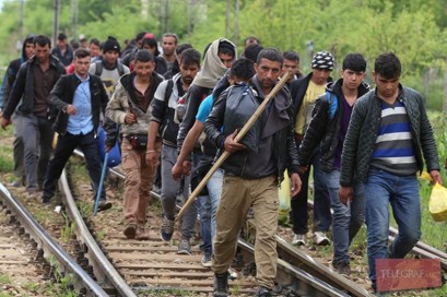 migranti