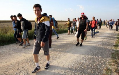 MIGRANTI SE KRECU KA GRANICI