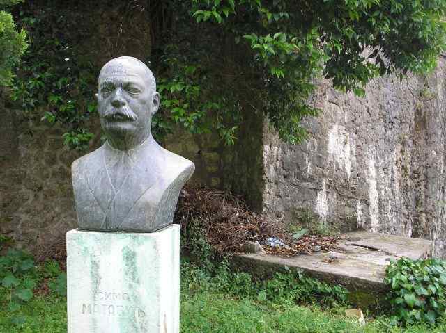 simo matavulj