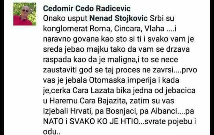 Cedomir Radicevic 02