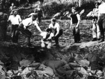 ustaša, Jasenovac, Jasenovca, izjava