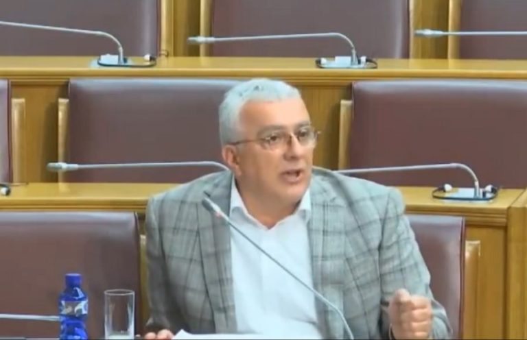 Andrija Mandić, NSD