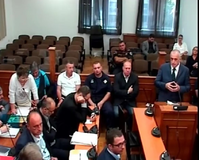 branka milić predrag bulatović