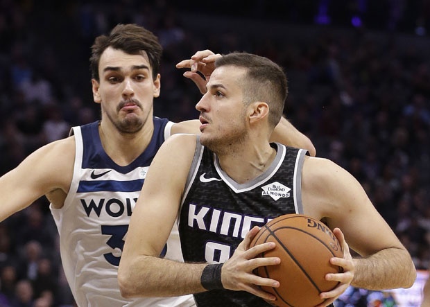 Bjelica NBA