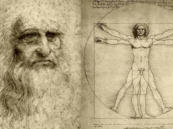 leonardo-da-vinci krila