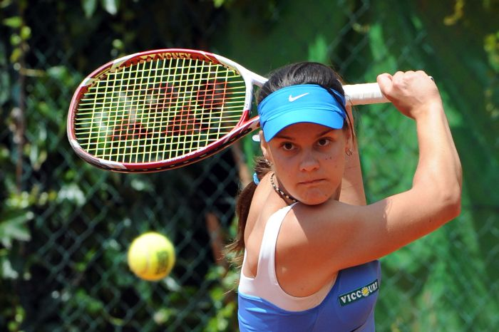 Ploskina