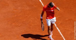 Novak
