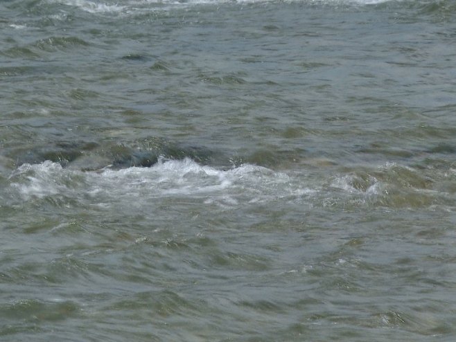 У ријеци Сави пронађене људске кости